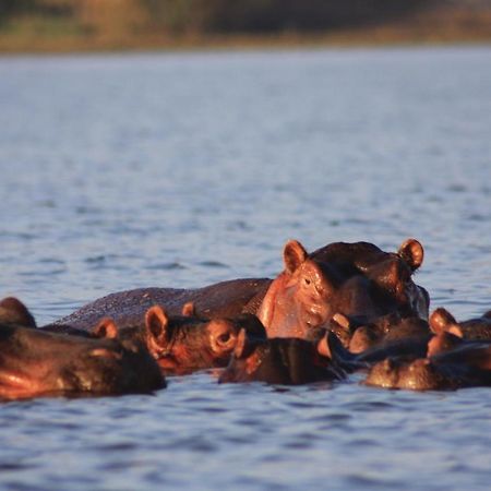 Lake Naivasha Simba Lodge Nairobi Kültér fotó
