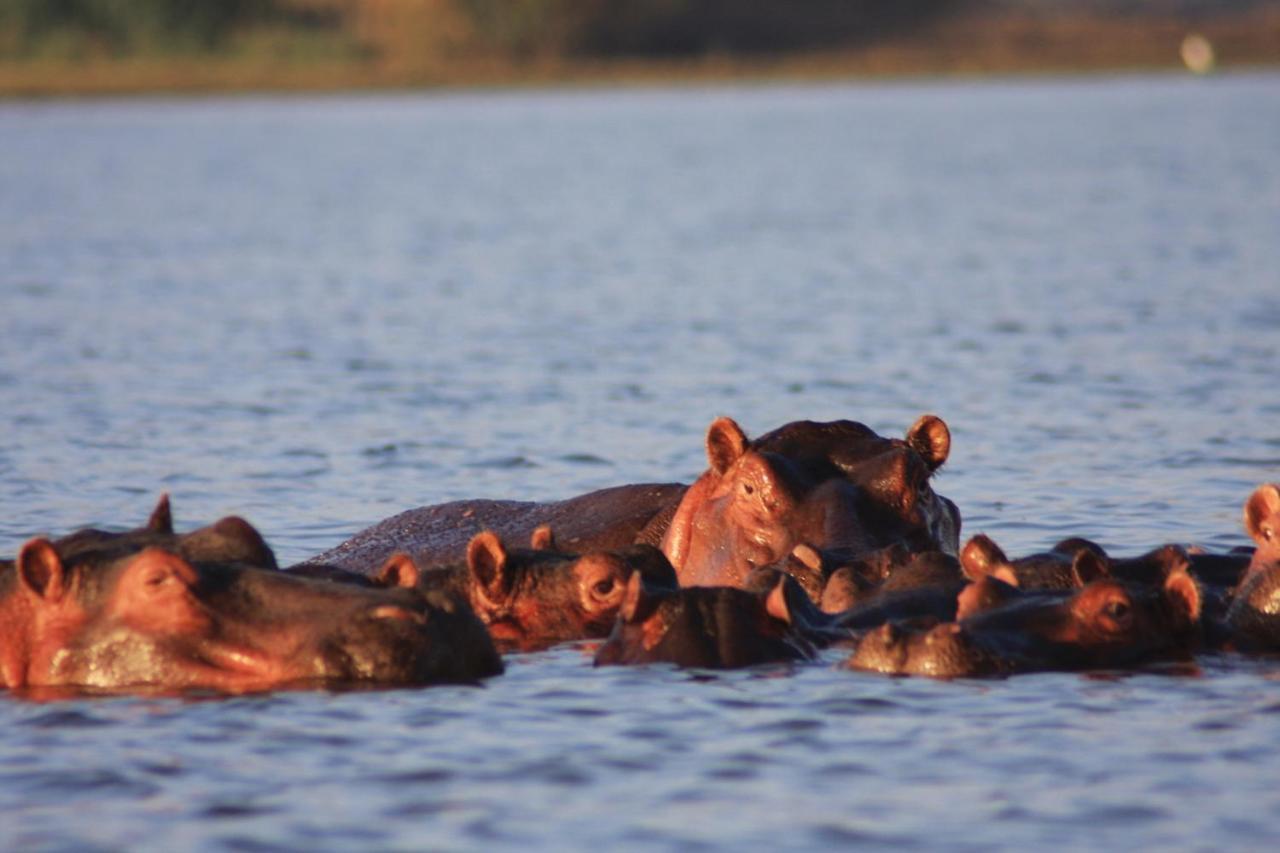 Lake Naivasha Simba Lodge Nairobi Kültér fotó