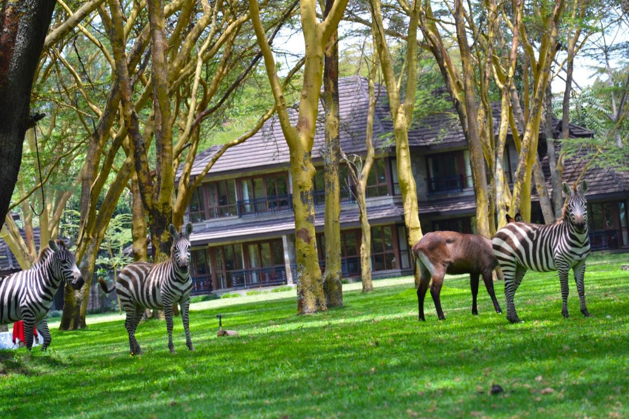 Lake Naivasha Simba Lodge Nairobi Kültér fotó